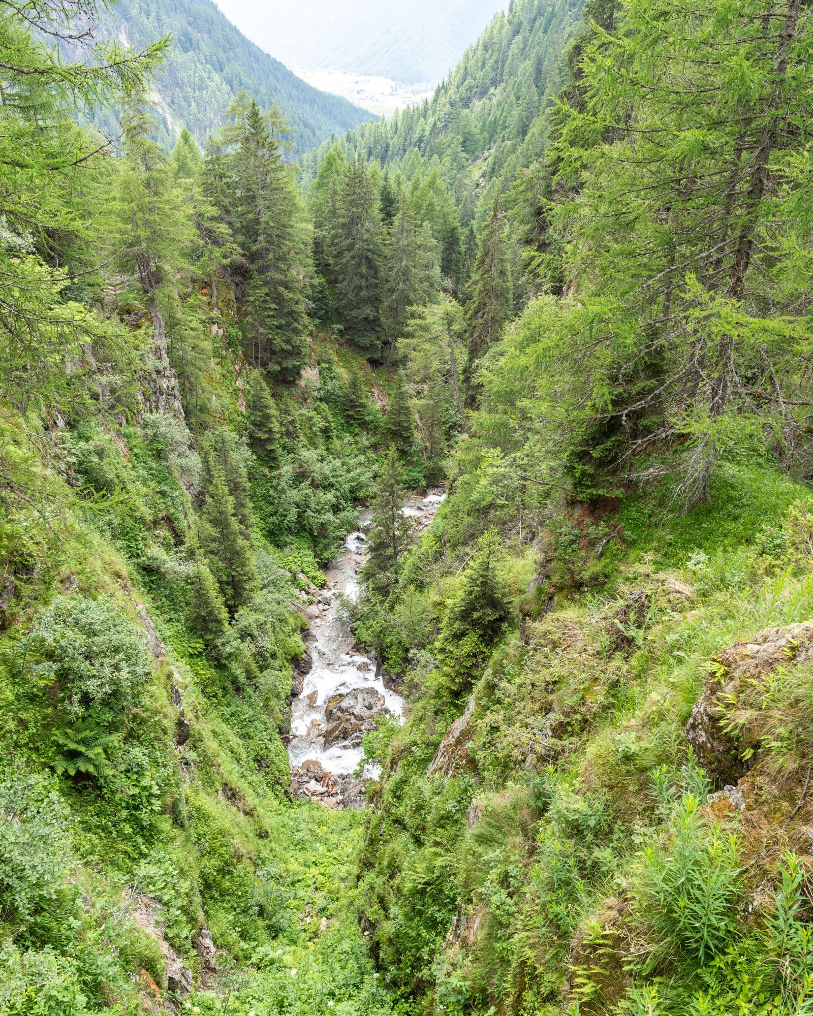 Herzleierhof Rodeneck Bildergalerie Sommerurlaub in Südtirol Wandern Klettern Kinderspass Dolomiten Eisacktal Gitschberg (11)