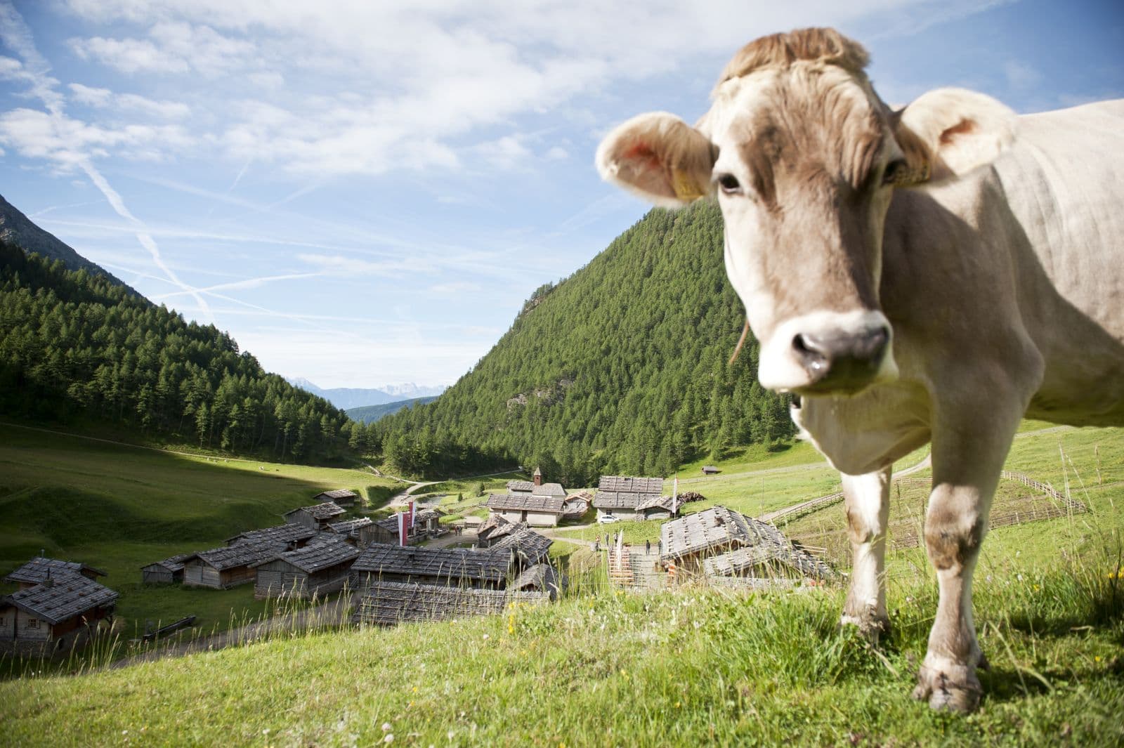 Herzleierhof Rodeneck Bildergalerie Sommerurlaub in Südtirol Wandern Klettern Kinderspass Dolomiten Eisacktal Gitschberg (2)