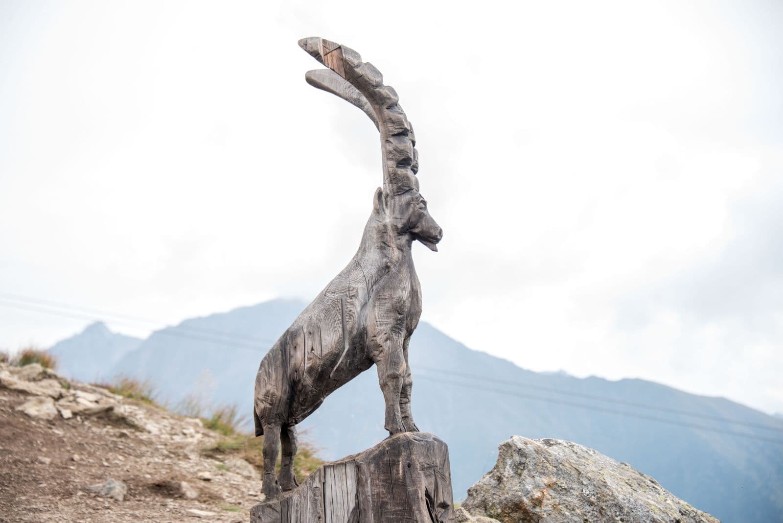 Herzleierhof Rodeneck Bildergalerie Sommerurlaub in Südtirol Wandern Klettern Kinderspass Dolomiten Eisacktal Gitschberg (23)